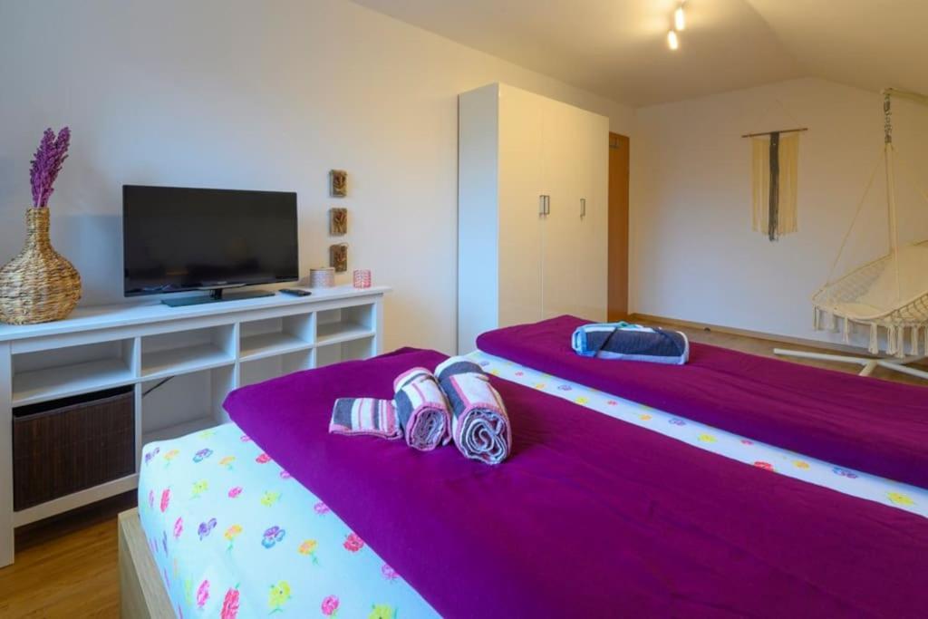 Family Apartment Бад Гоисерн Экстерьер фото